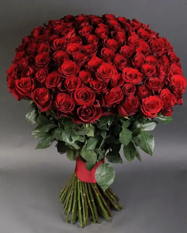 Buchet monumental din 101 trandafiri roșii, 80–90 cm